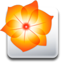 Adobe Illustrator icon